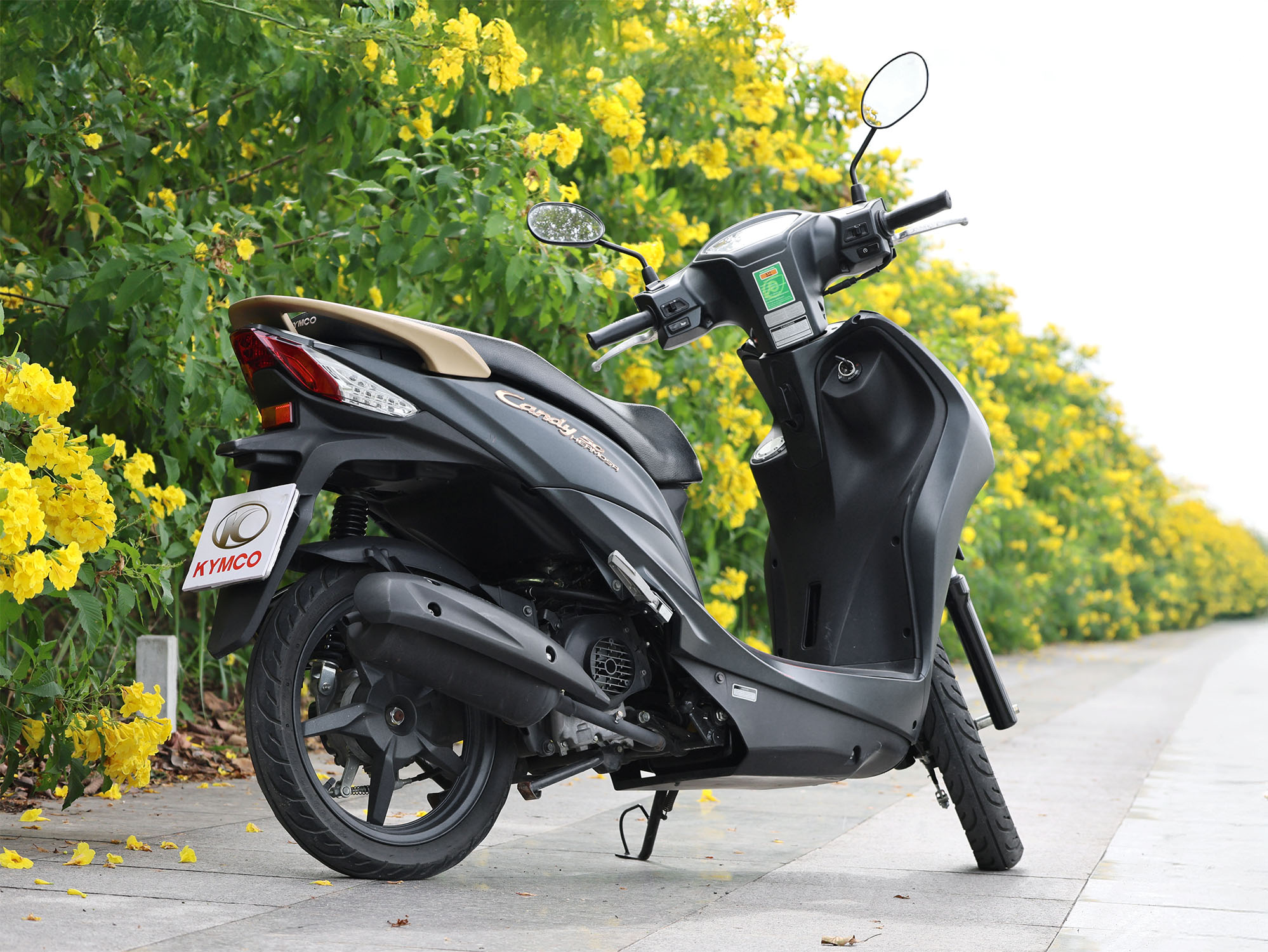 xe kymco 50