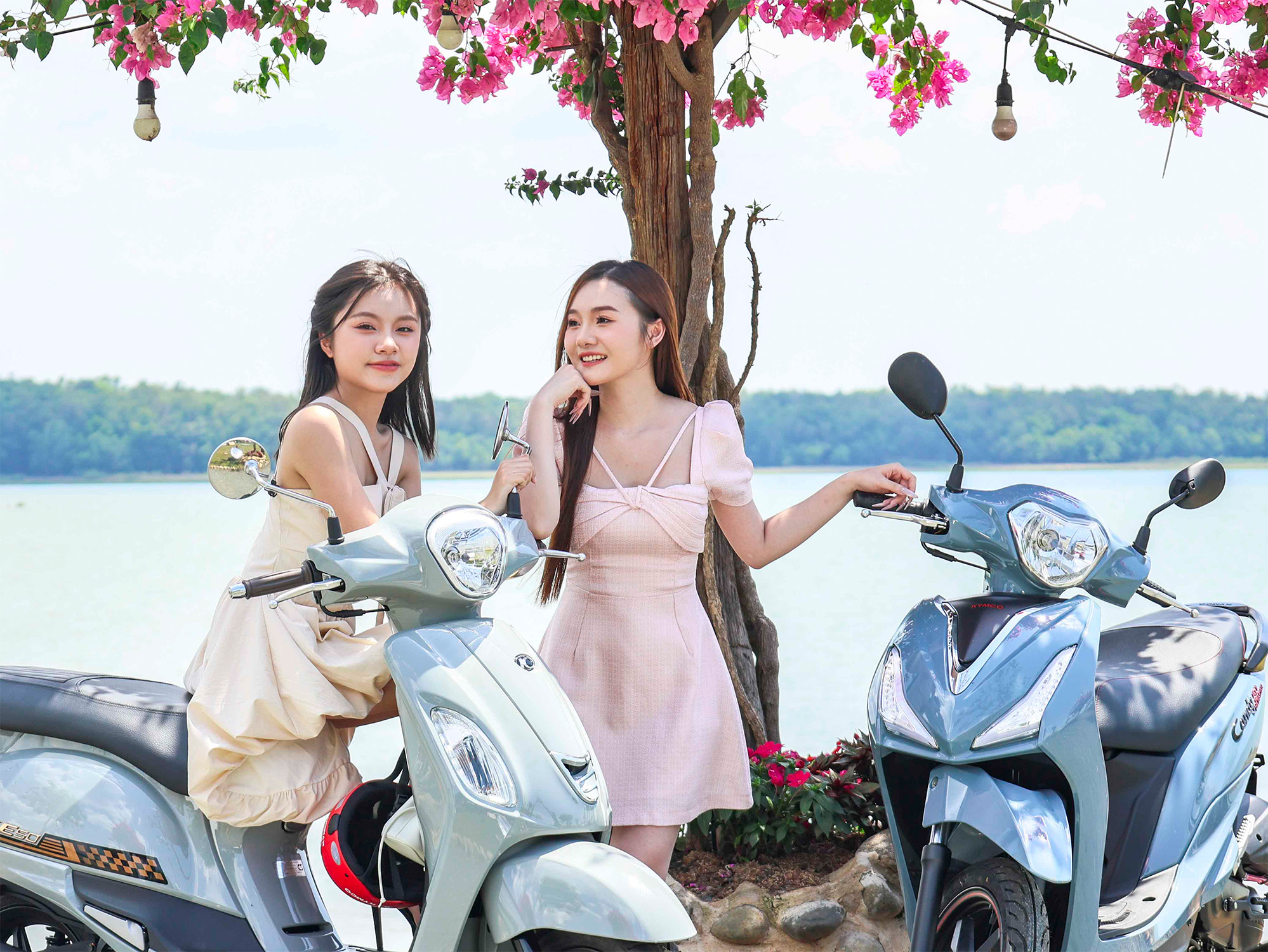 xe kymco 50