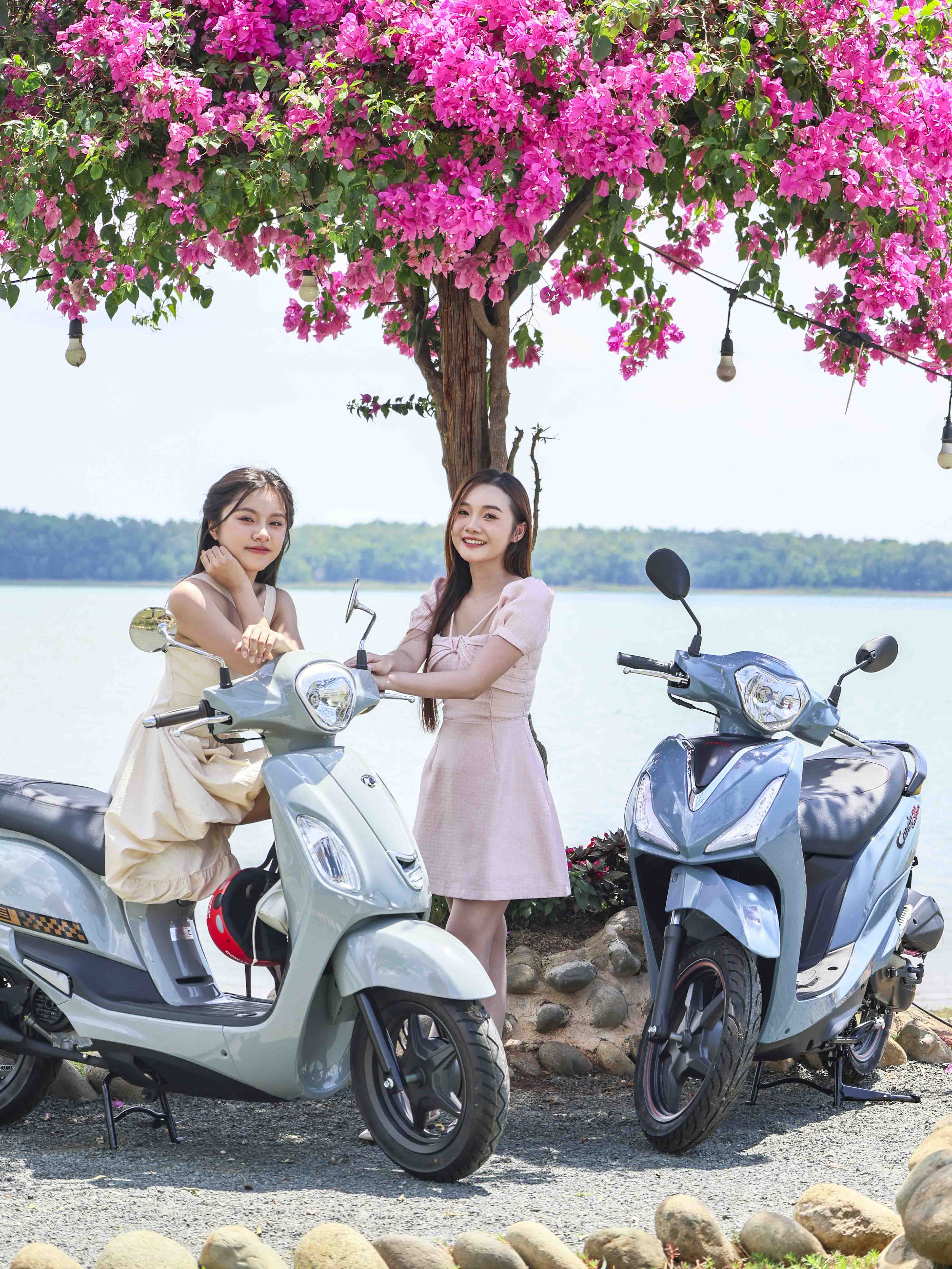 xe máy dưới 50cc