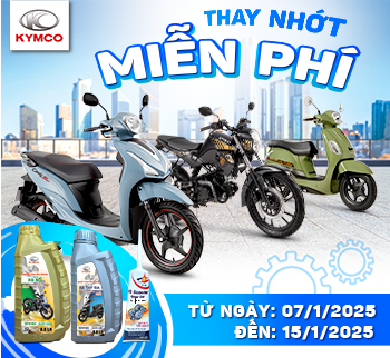 THAY NHỚT MIỄN PHÍ - THỎA CHÍ VI VU